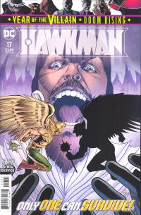 HAWKMAN  17  [DC COMICS]