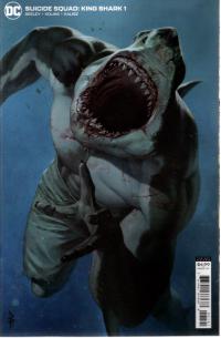 SUICIDE SQUAD KING SHARK #1 (OF 6) CVR B FEDERICI CARD STOCK VAR  1  [DC COMICS]